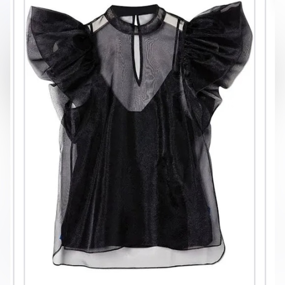 Jonathan Simkhai Tops - NWT Simkhai Corina Organza Ruffle Sleeve Crew Neck Top Large